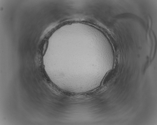 X0000071911448200607281816