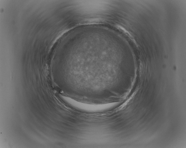 X0000071911449200607281816