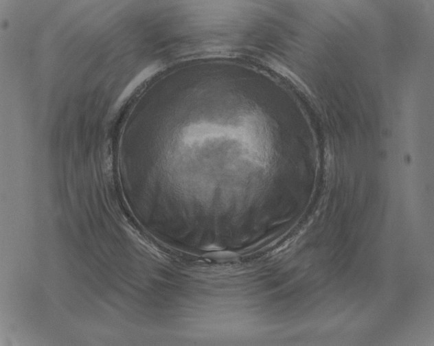 X0000071911450200607281816