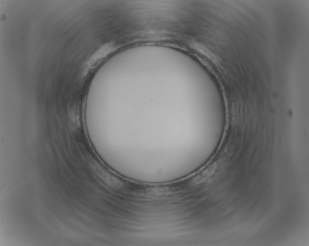 X0000071911451200607281816