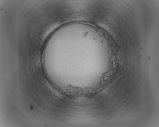 X0000071911452200607281816