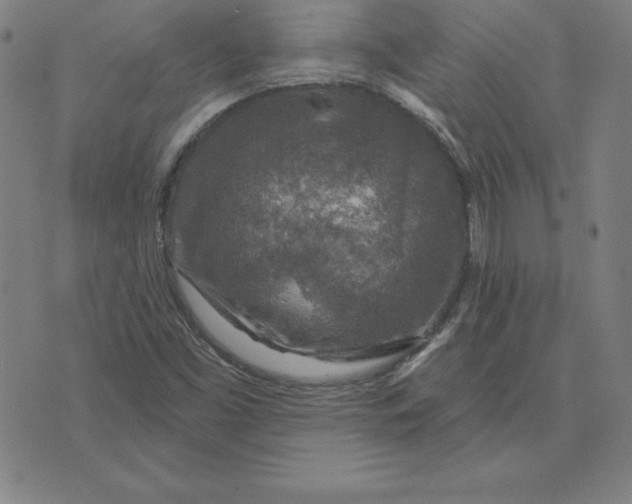 X0000071911453200607281816