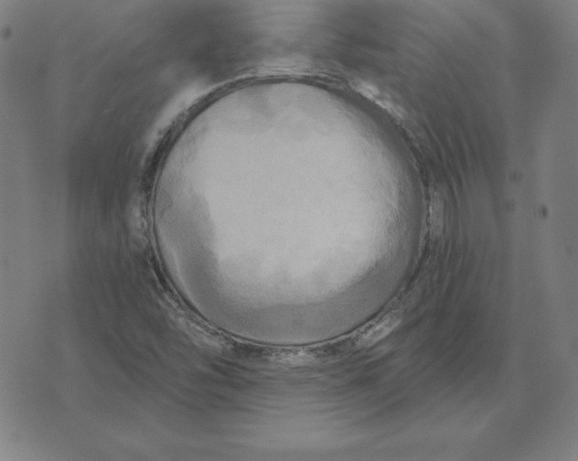 X0000071911454200607281816