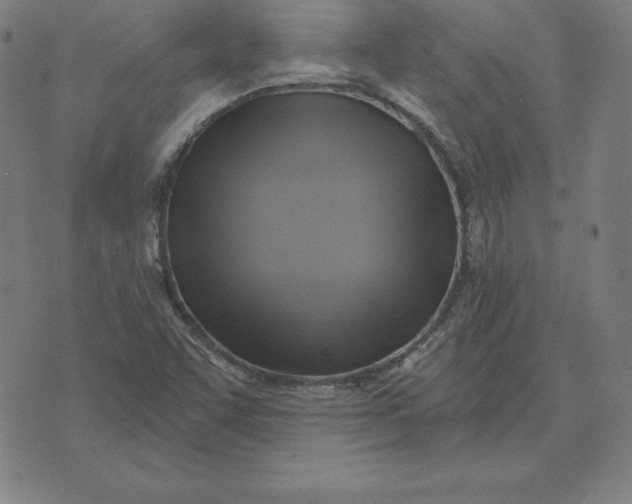 X0000071911455200607281816