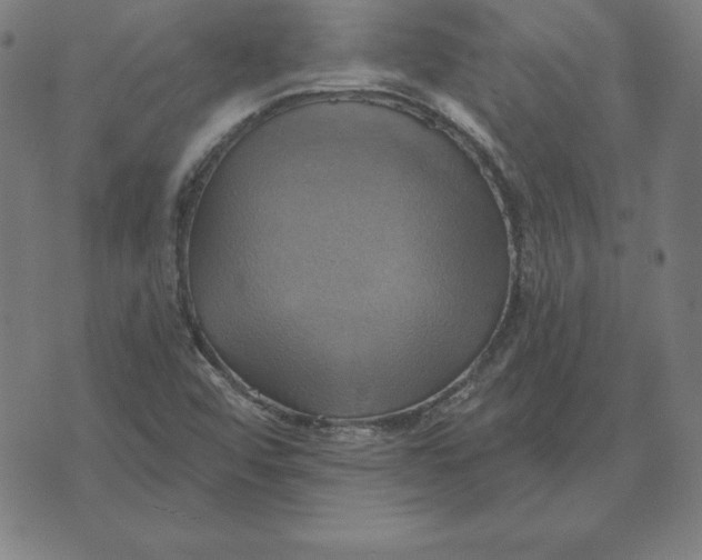 X0000071911456200607281816