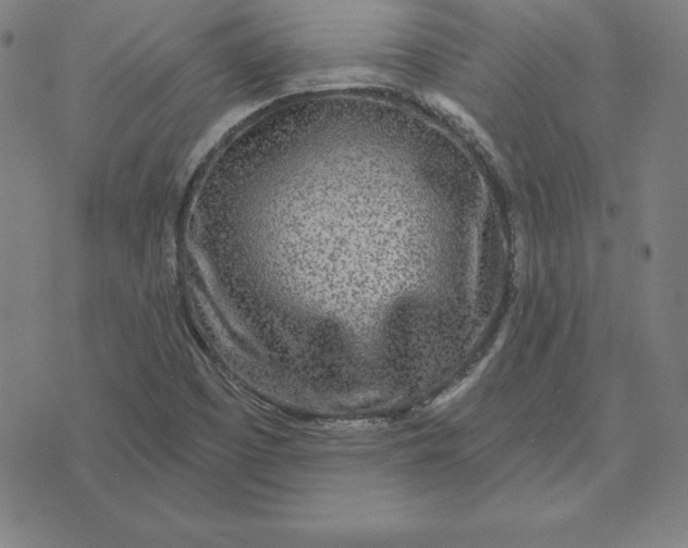 X0000071911457200607281816