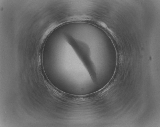 X0000071911459200607281816