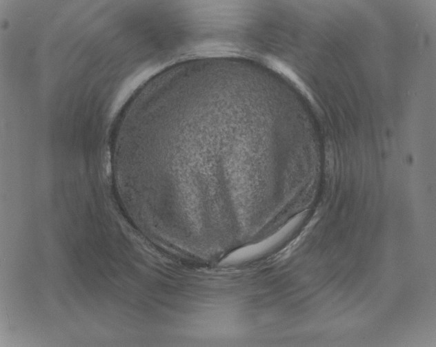 X0000071911461200607281816