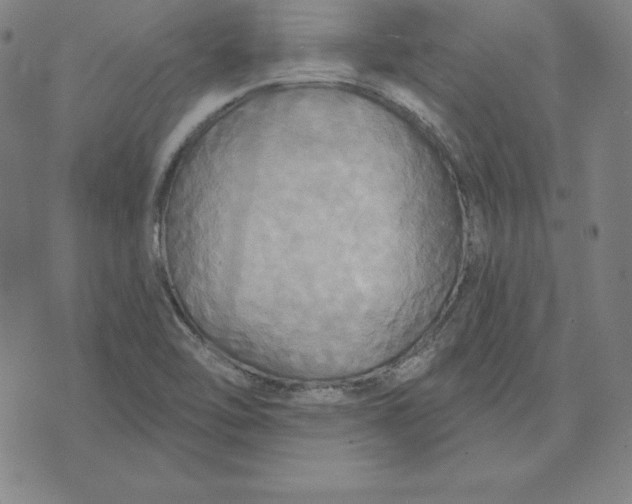 X0000071911462200607281816