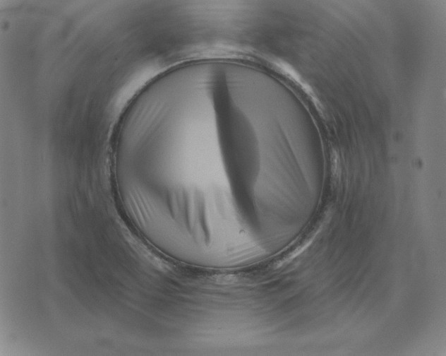 X0000071911463200607281816