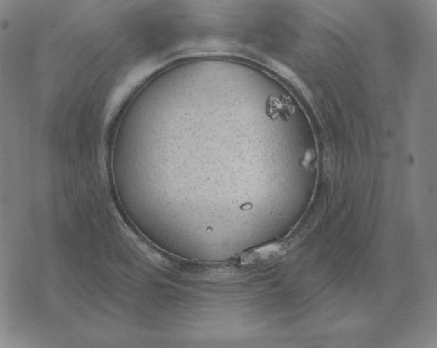 X0000071911464200607281816