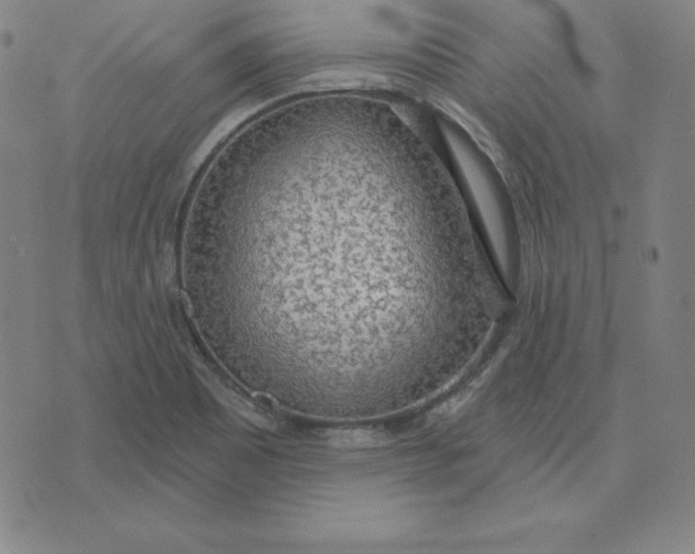 X0000071911465200607281816