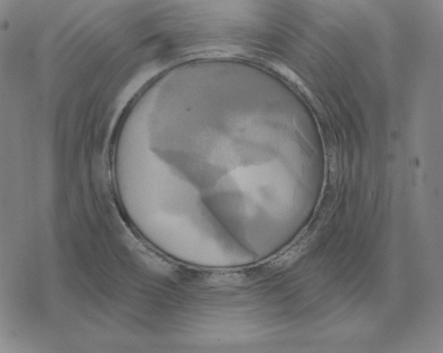 X0000071911466200607281816