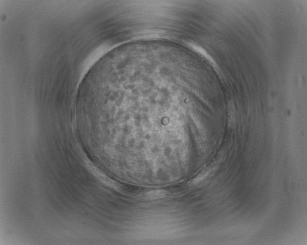 X0000071911467200607281816