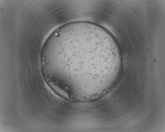 X0000071911468200607281816