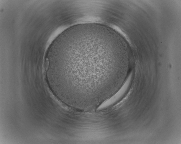 X0000071911469200607281816