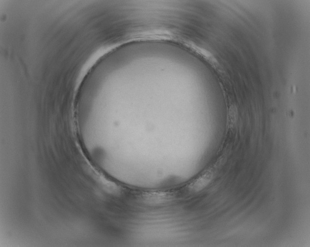 X0000071911470200607281816