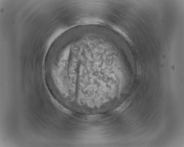 X0000071911471200607281816