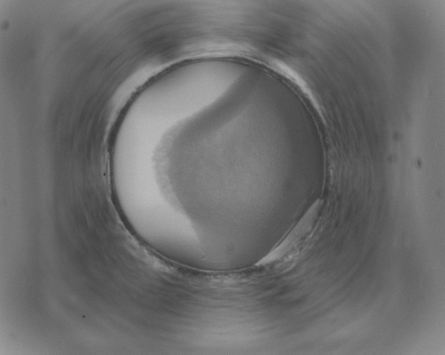 X0000071911472200607281816