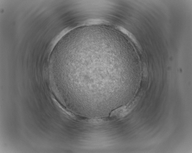 X0000071911473200607281816