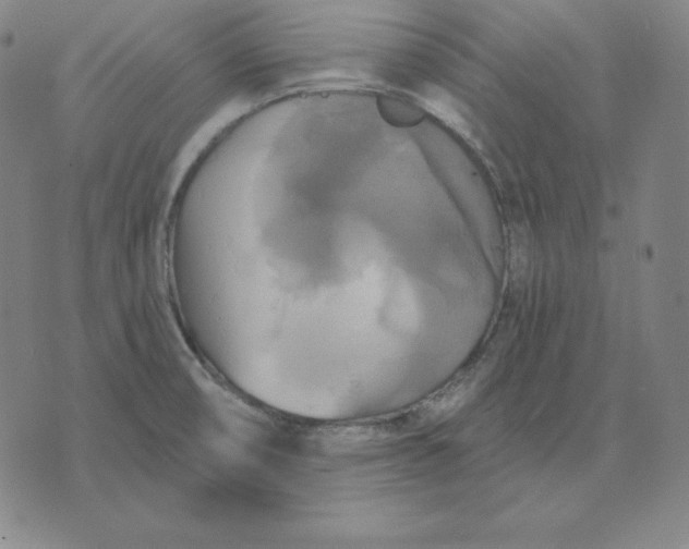 X0000071911474200607281816