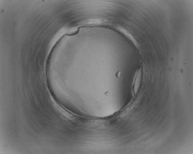 X0000071911475200607281816