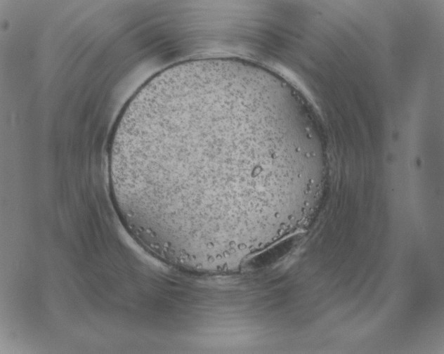 X0000071911476200607281816