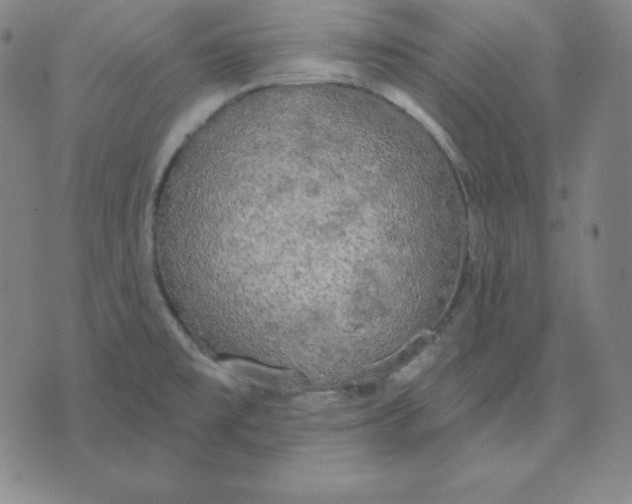 X0000071911477200607281816