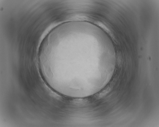 X0000071911478200607281816