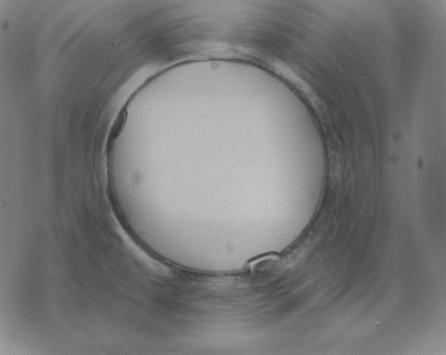 X0000071911479200607281816