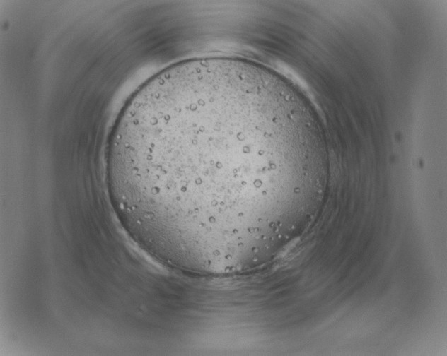 X0000071911480200607281816