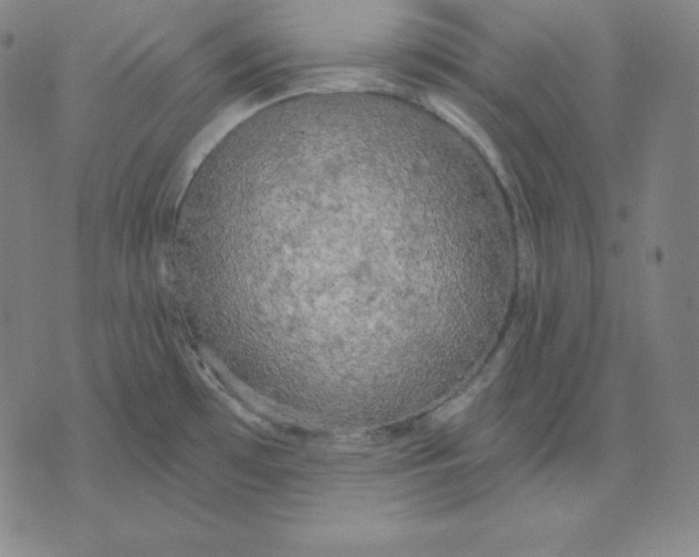 X0000071911481200607281816