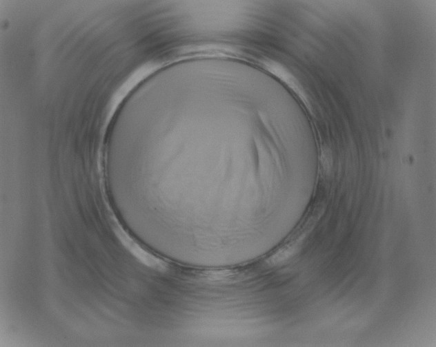 X0000071911482200607281816