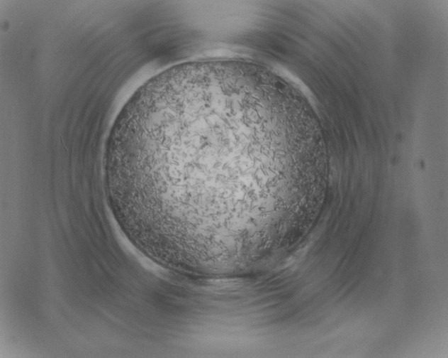 X0000071911483200607281816