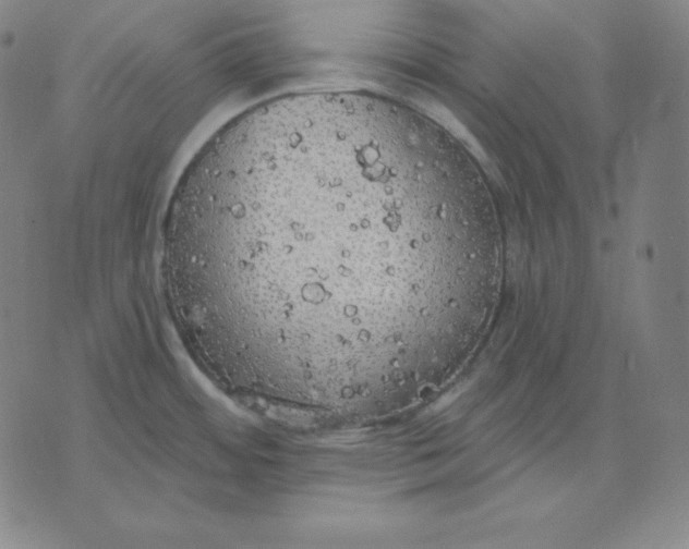 X0000071911484200607281816