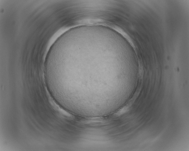 X0000071911486200607281816