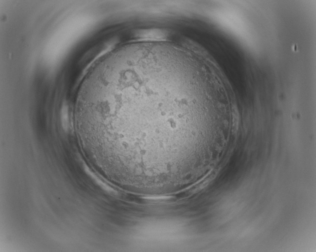 X0000071911487200607281816