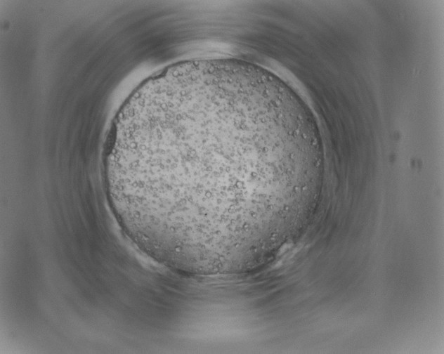 X0000071911488200607281816