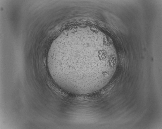 X0000071911489200607281815