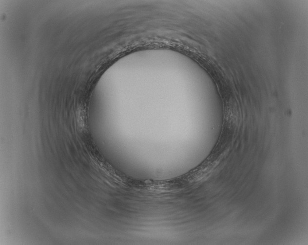 X0000071911490200607281815