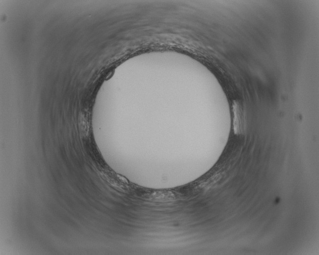 X0000071911491200607281815