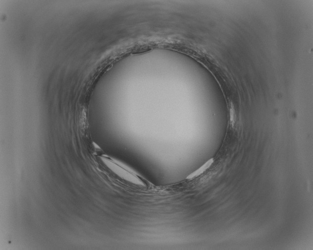 X0000071911492200607281815