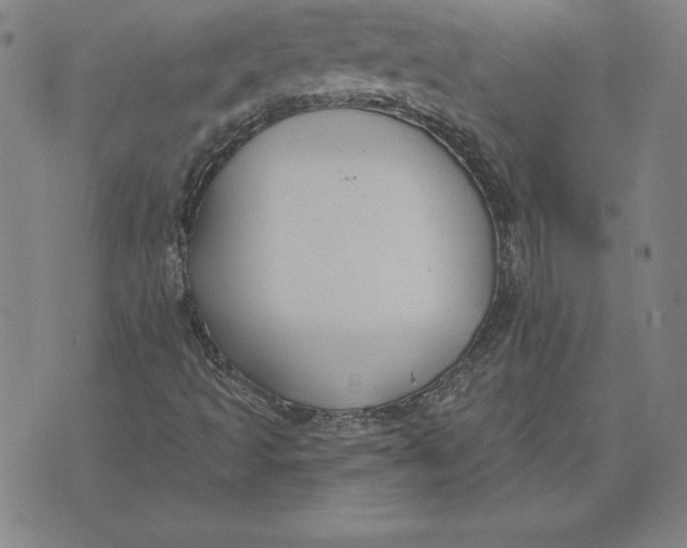 X0000071911493200607281815