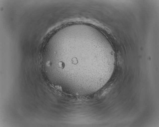 X0000071911494200607281815