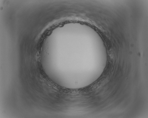 X0000071911495200607281815