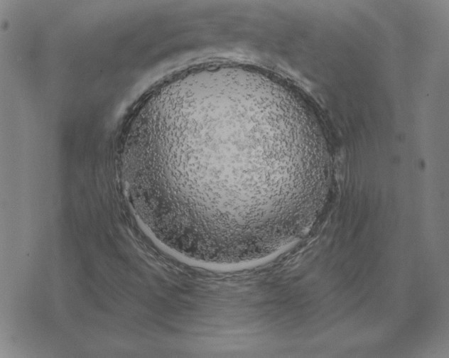 X0000071911496200607281815