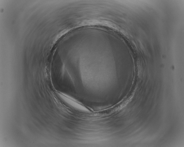 X0000071911497200607281815