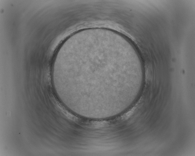 X0000071911498200607281815