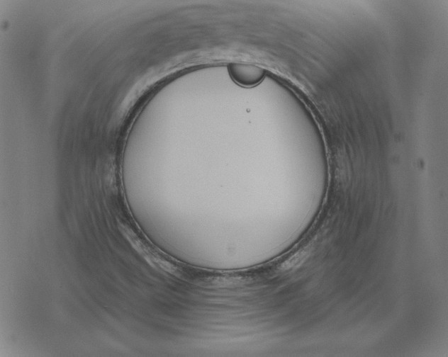 X0000071911499200607281815