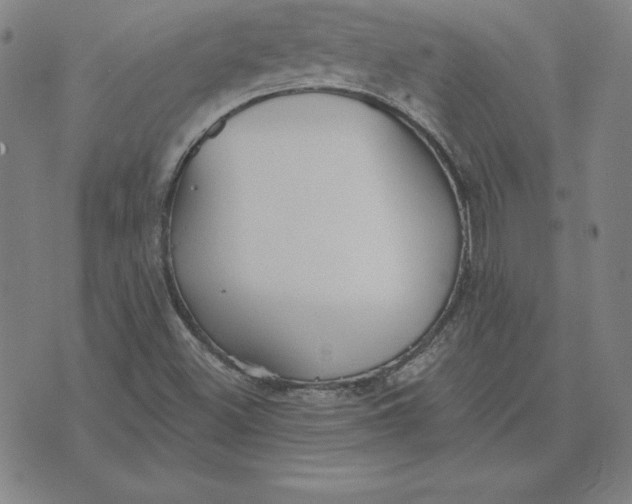 X0000071911500200607281815